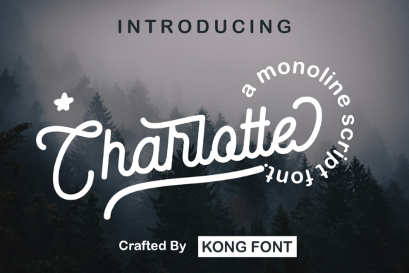 Charlotte: A Vintage Script Font for Delicate Designs